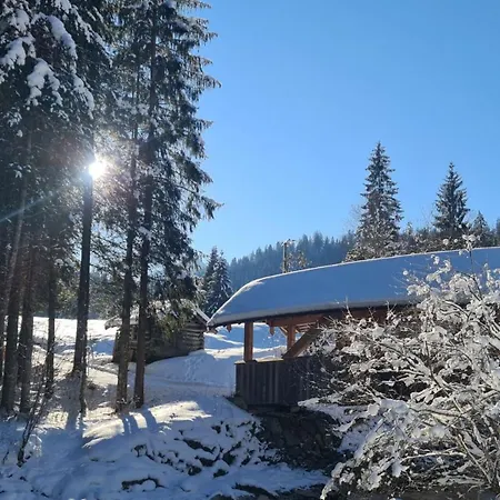 Apartamento Walser Auszeit *